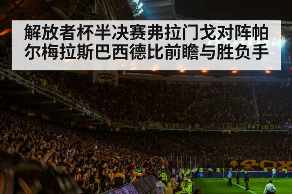 soccer stadium crowd night